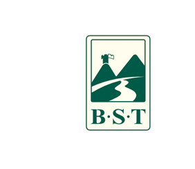 BST�ٴ����־���